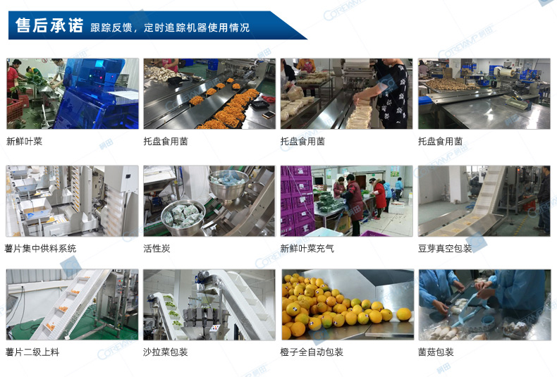 量杯包裝機